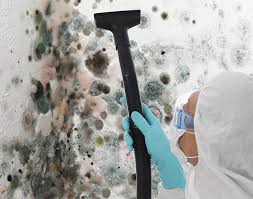 Why You Should Choose Our Mold Remediation Services in Charleston, SC